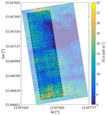 Evaluating Spatially Resolved Influence of Soil and Tree Water Status on Quality of European Plum Grown in Semi-humid Climate